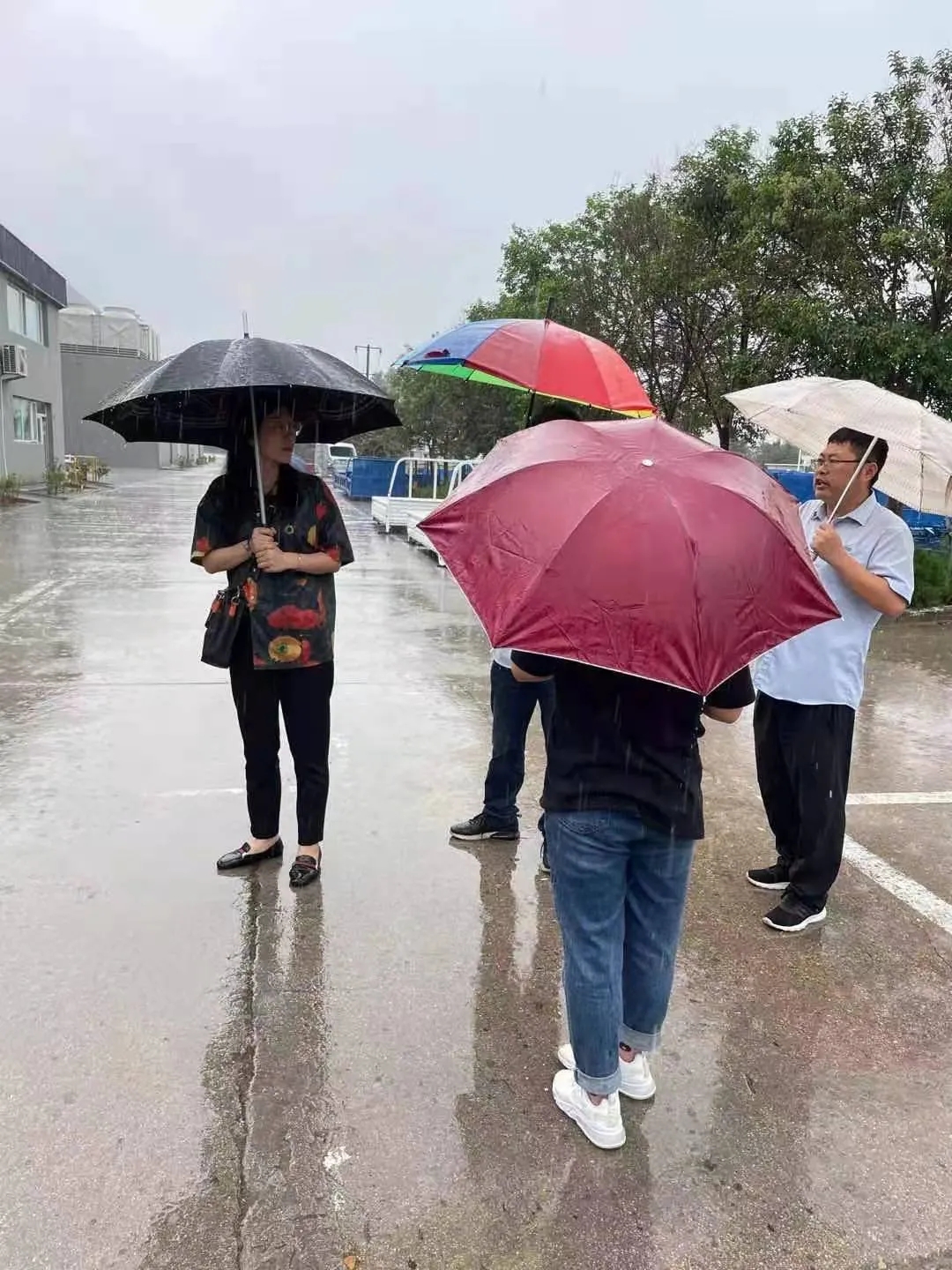 1631583623729314.jpg 5.webp.jpg